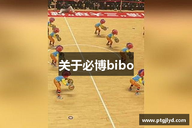 关于必博bibo